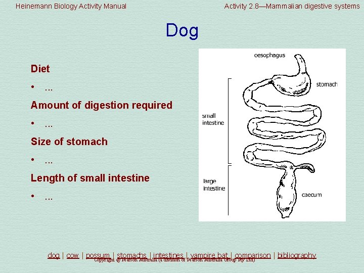 Heinemann Biology Activity Manual Activity 2. 8—Mammalian digestive systems Dog Diet • . .