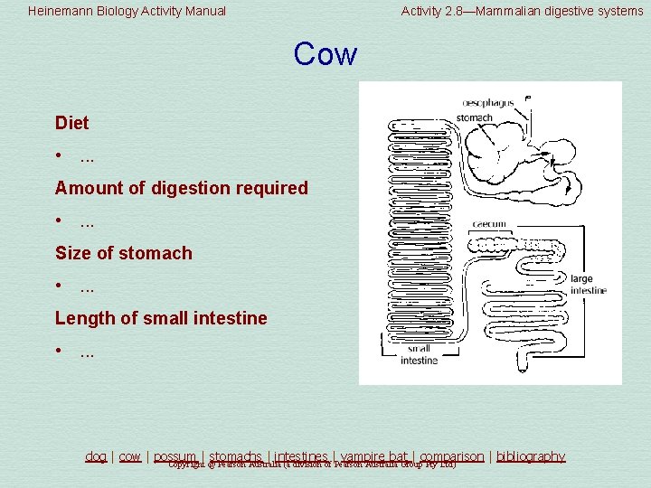 Heinemann Biology Activity Manual Activity 2. 8—Mammalian digestive systems Cow Diet • . .