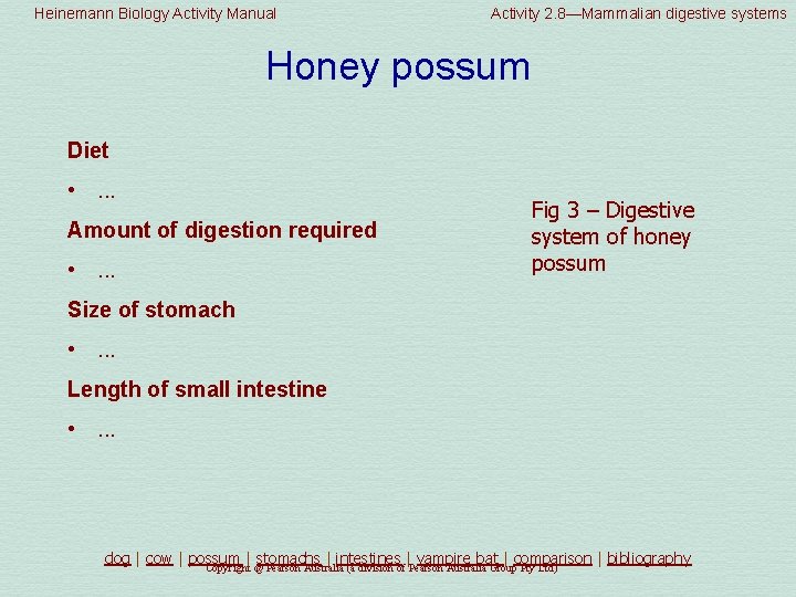 Heinemann Biology Activity Manual Activity 2. 8—Mammalian digestive systems Honey possum Diet • .