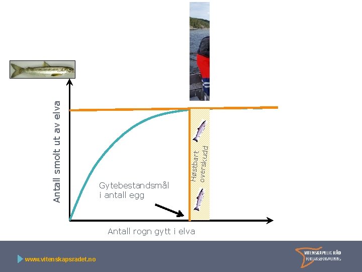 Høstbart overskudd Antall smolt ut av elva Gytebestandsmål i antall egg Antall rogn gytt