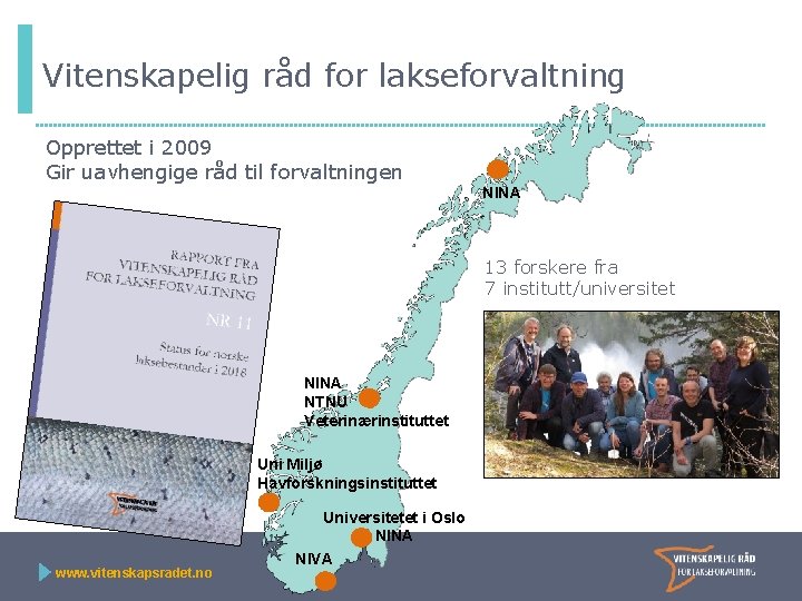 Vitenskapelig råd for lakseforvaltning Opprettet i 2009 Gir uavhengige råd til forvaltningen NINA 13