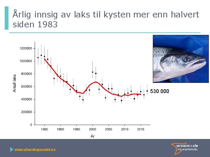 Årlig innsig av laks til kysten mer enn halvert siden 1983 530 000 www.