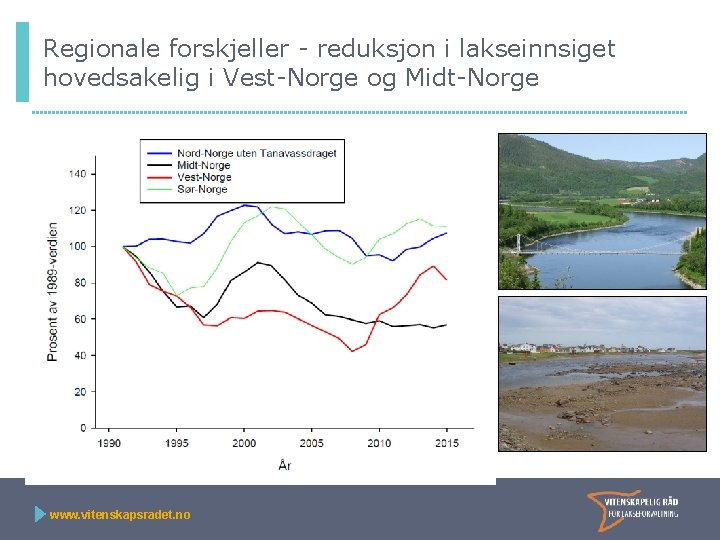 Regionale forskjeller - reduksjon i lakseinnsiget hovedsakelig i Vest-Norge og Midt-Norge Sør-Norge Nord-Norge u/Tana