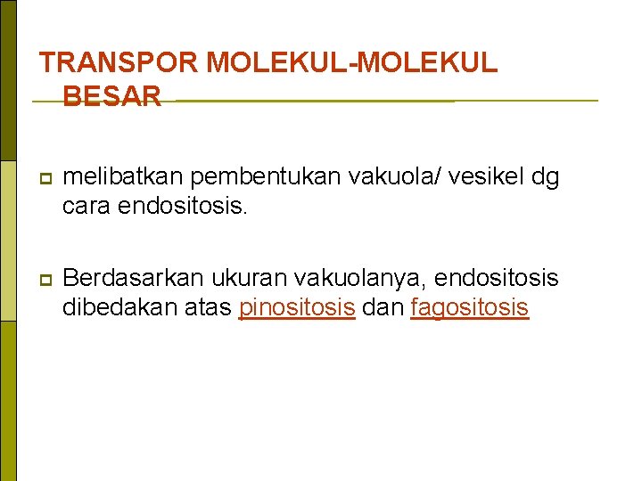 TRANSPOR MOLEKUL-MOLEKUL BESAR p melibatkan pembentukan vakuola/ vesikel dg cara endositosis. p Berdasarkan ukuran