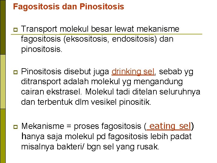 Fagositosis dan Pinositosis p Transport molekul besar lewat mekanisme fagositosis (eksositosis, endositosis) dan pinositosis.