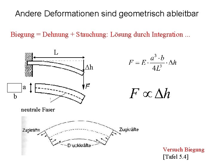 Andere Deformationen sind geometrisch ableitbar Biegung = Dehnung + Stauchung: Lösung durch Integration. .
