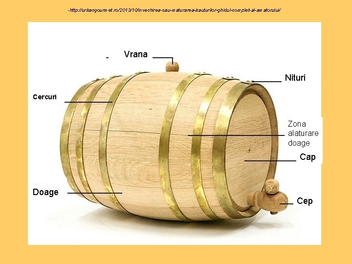 -http: //urbangourmet. ro/2013/10/invechirea-sau-maturarea-bauturilor-ghidul-complet-al-amatorului/ Vrana Nituri Cercuri Zona alaturare doage Cap Doage Cep 