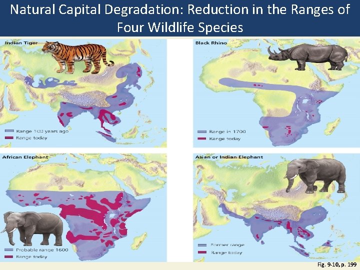 Natural Capital Degradation: Reduction in the Ranges of Four Wildlife Species Fig. 9 -10,