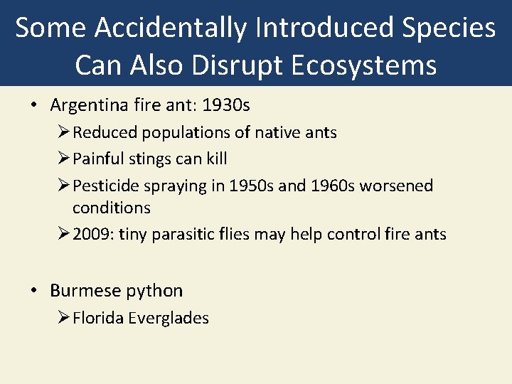 Some Accidentally Introduced Species Can Also Disrupt Ecosystems • Argentina fire ant: 1930 s