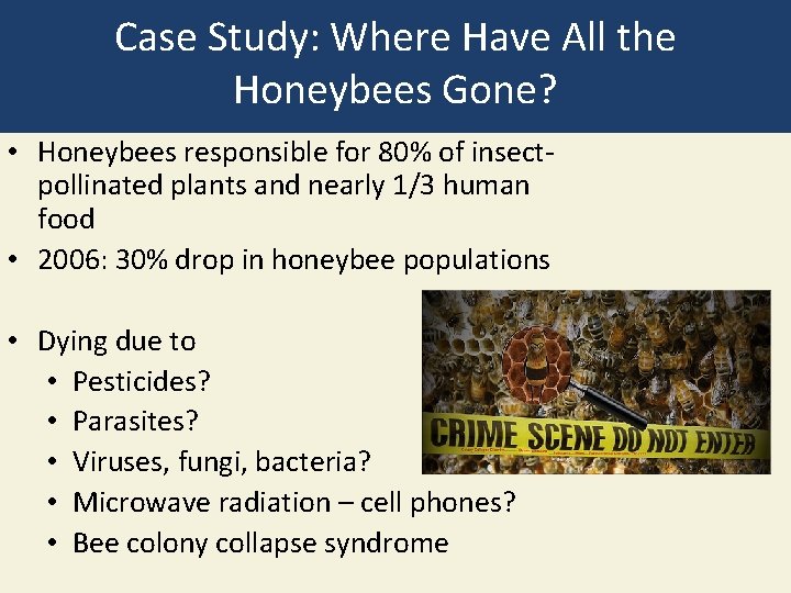 Case Study: Where Have All the Honeybees Gone? • Honeybees responsible for 80% of