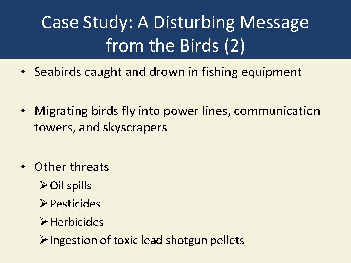 Case Study: A Disturbing Message from the Birds (2) • Seabirds caught and drown