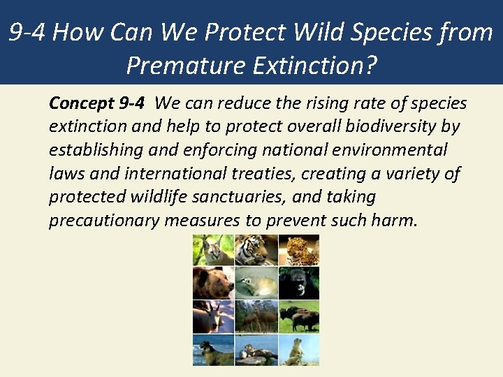 9 -4 How Can We Protect Wild Species from Premature Extinction? Concept 9 -4