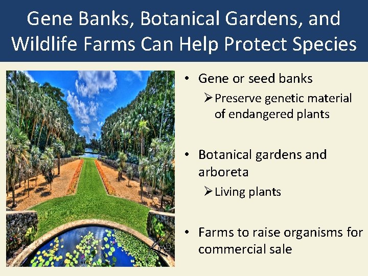 Gene Banks, Botanical Gardens, and Wildlife Farms Can Help Protect Species • Gene or