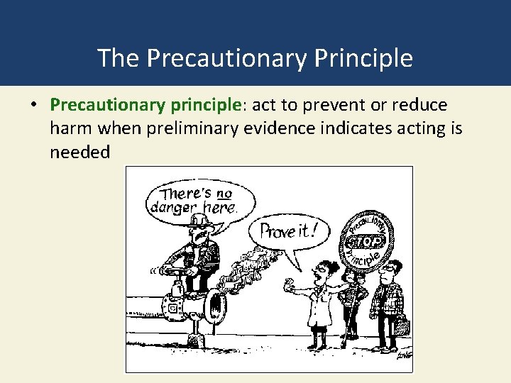 The Precautionary Principle • Precautionary principle: act to prevent or reduce harm when preliminary