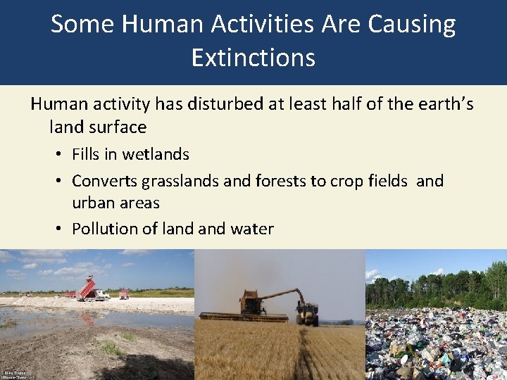 Some Human Activities Are Causing Extinctions Human activity has disturbed at least half of