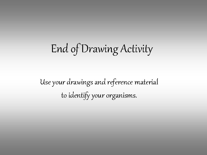 End of Drawing Activity Use your drawings and reference material to identify your organisms.