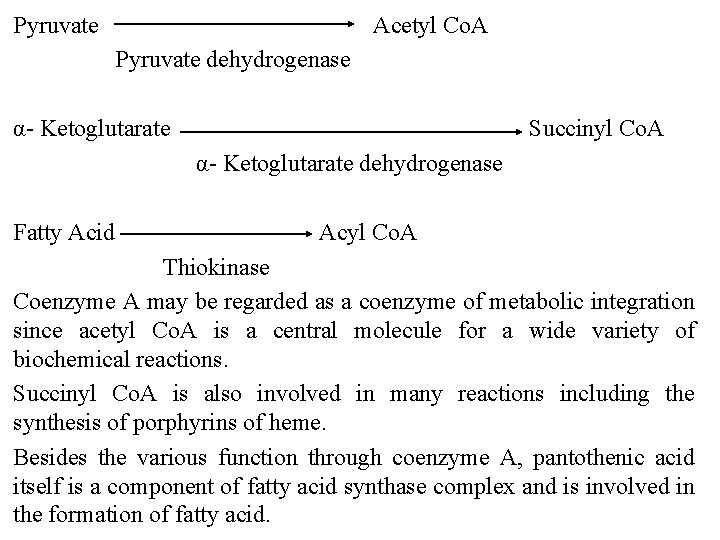 Pyruvate Acetyl Co. A Pyruvate dehydrogenase α- Ketoglutarate Succinyl Co. A α- Ketoglutarate dehydrogenase