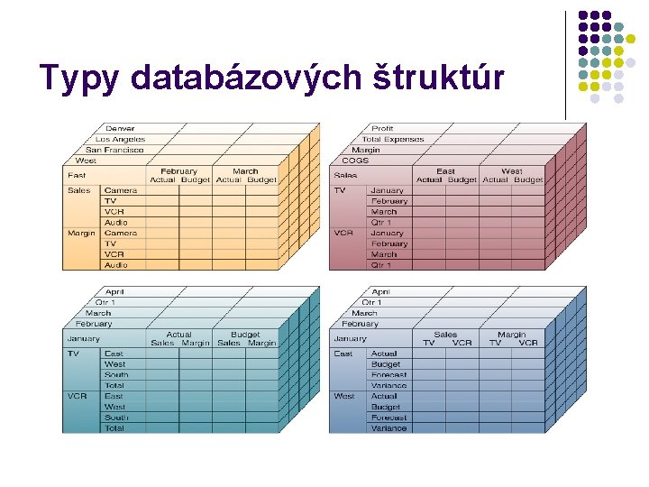 Typy databázových štruktúr 