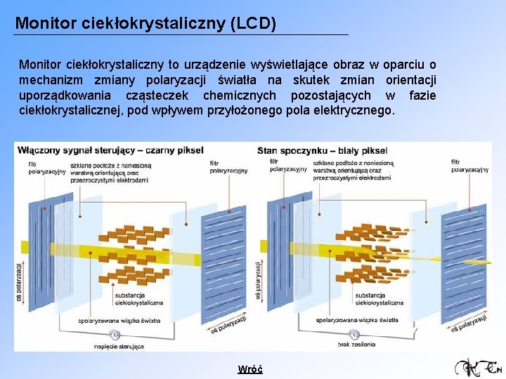 Monitor ciekłokrystaliczny (LCD) Monitor ciekłokrystaliczny to urządzenie wyświetlające obraz w oparciu o mechanizm zmiany