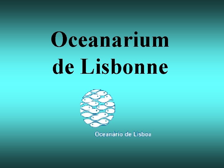 Oceanarium de Lisbonne 
