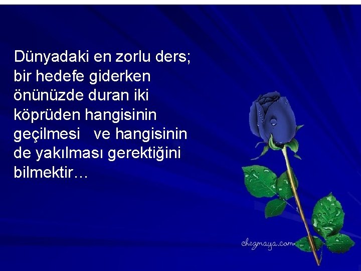 Dünyadaki en zorlu ders; bir hedefe giderken önünüzde duran iki köprüden hangisinin geçilmesi ve