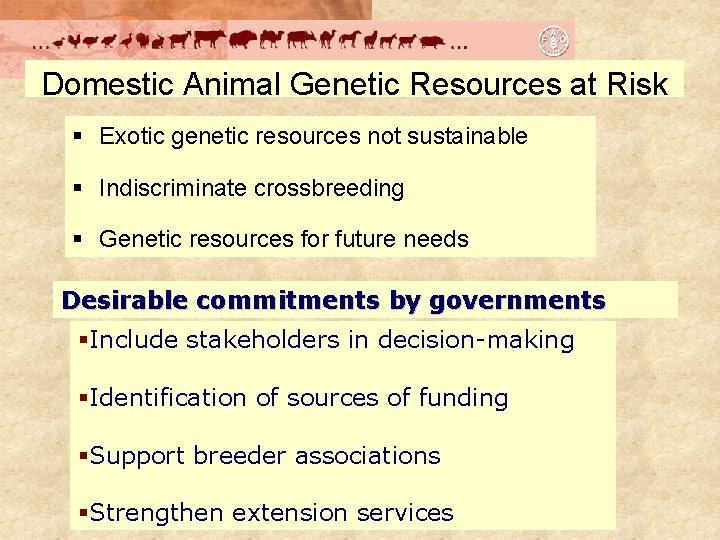 Domestic Animal Genetic Resources at Risk § Exotic genetic resources not sustainable § Indiscriminate