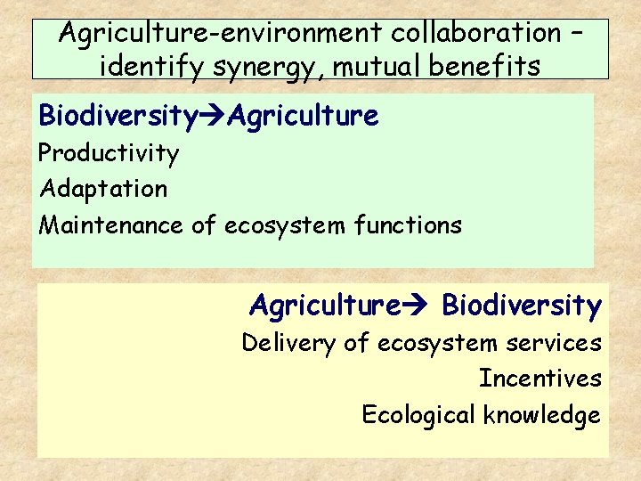 Agriculture-environment collaboration – identify synergy, mutual benefits Biodiversity Agriculture Productivity Adaptation Maintenance of ecosystem