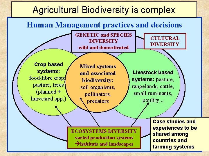 Agricultural Biodiversity is complex Human Management practices and decisions GENETIC and SPECIES DIVERSITY wild