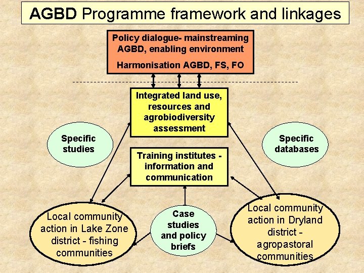 AGBD Programme framework and linkages Policy dialogue- mainstreaming AGBD, enabling environment Harmonisation AGBD, FS,