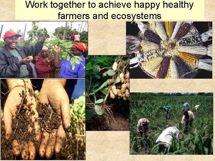 Work together to achieve happy healthy farmers and ecosystems Smallholders access market prices from