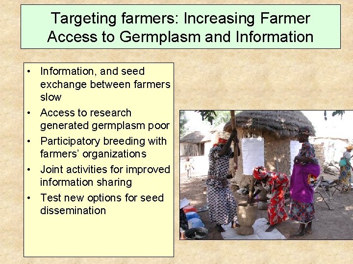 Targeting farmers: Increasing Farmer Access to Germplasm and Information • Information, and seed exchange