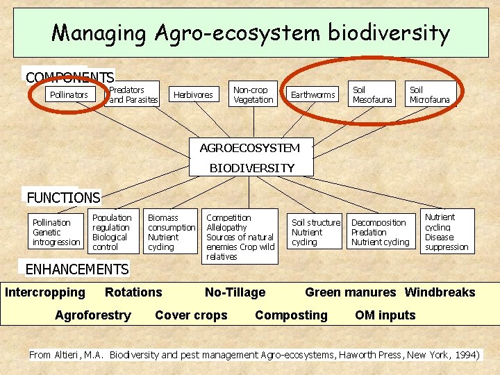 Managing Agro-ecosystem biodiversity COMPONENTS Predators and Parasites Pollinators Herbivores Non-crop Vegetation Earthworms Soil Mesofauna