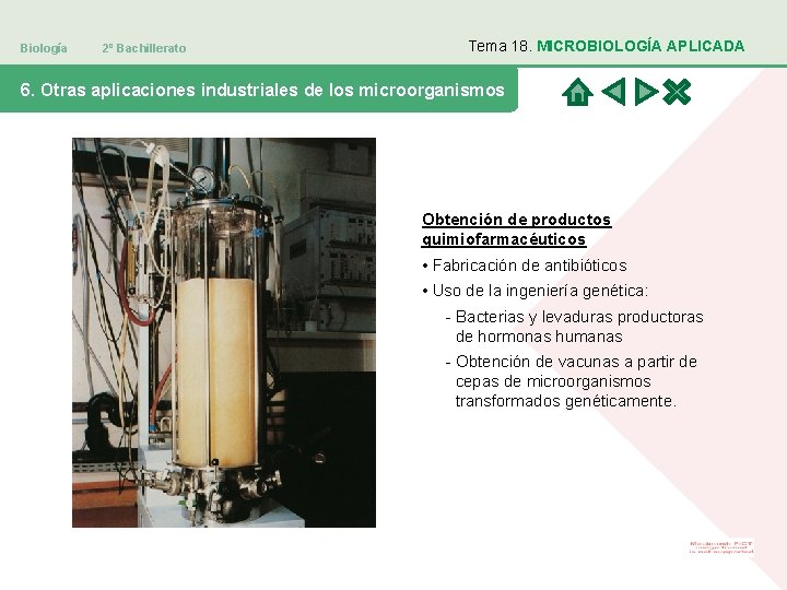 Biología 2º Bachillerato Tema 18. MICROBIOLOGÍA APLICADA 6. Otras aplicaciones industriales de los microorganismos