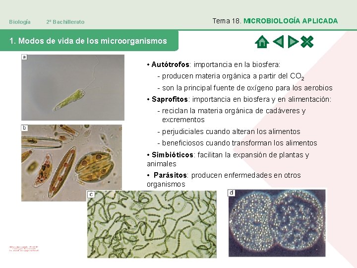 Biología Tema 18. MICROBIOLOGÍA APLICADA 2º Bachillerato 1. Modos de vida de los microorganismos