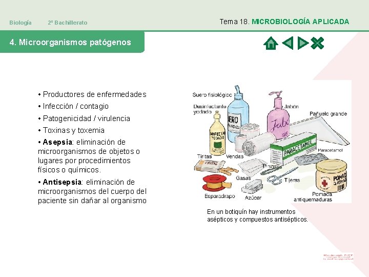 Biología 2º Bachillerato Tema 18. MICROBIOLOGÍA APLICADA 4. Microorganismos patógenos • Productores de enfermedades