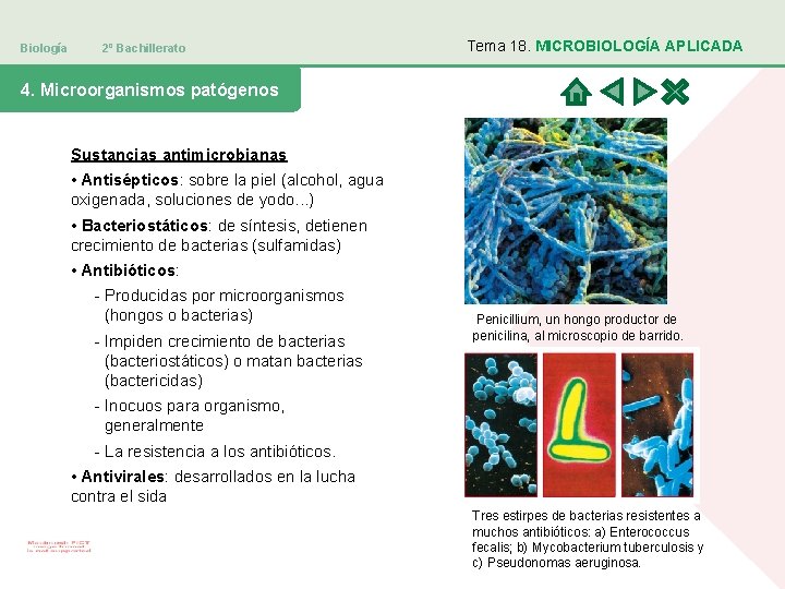 Biología 2º Bachillerato Tema 18. MICROBIOLOGÍA APLICADA 4. Microorganismos patógenos Sustancias antimicrobianas • Antisépticos: