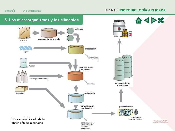 Biología 2º Bachillerato 5. Los microorganismos y los alimentos Proceso simplificado de la fabricación