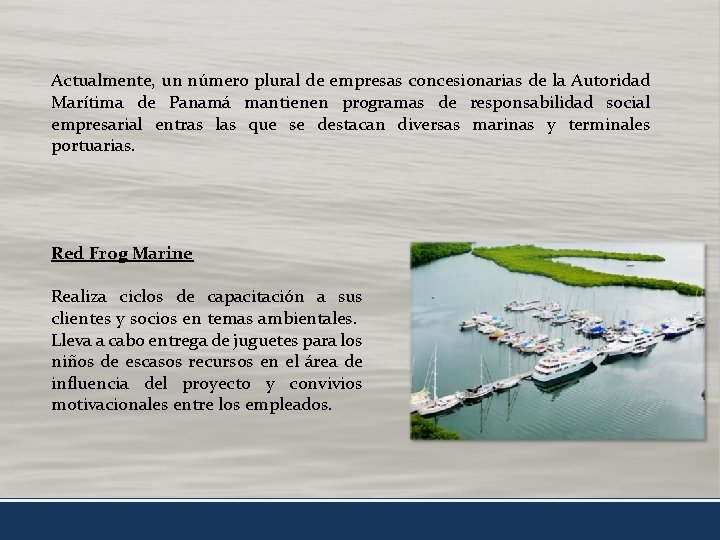 Actualmente, un número plural de empresas concesionarias de la Autoridad Marítima de Panamá mantienen