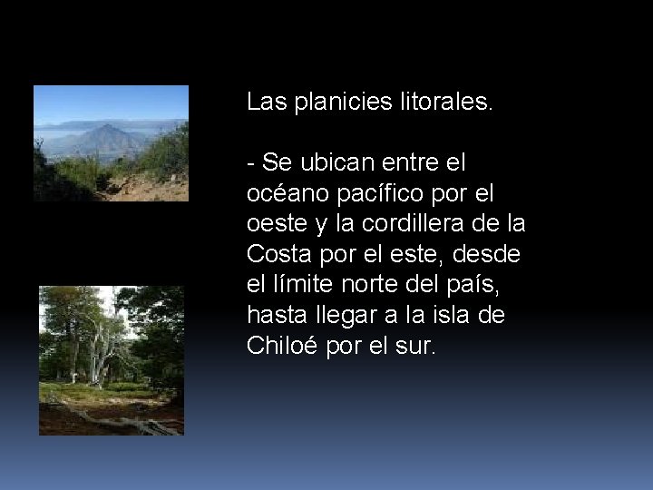 Las planicies litorales. - Se ubican entre el océano pacífico por el oeste y