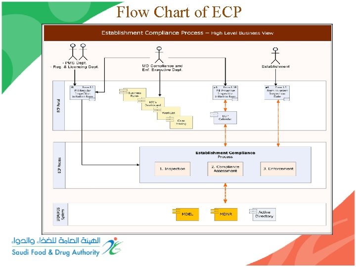 Flow Chart of ECP 