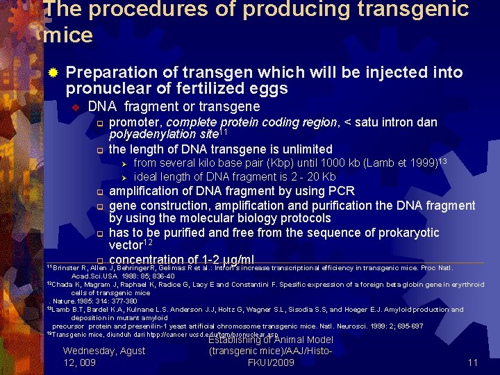 The procedures of producing transgenic mice ® Preparation of transgen which will be injected