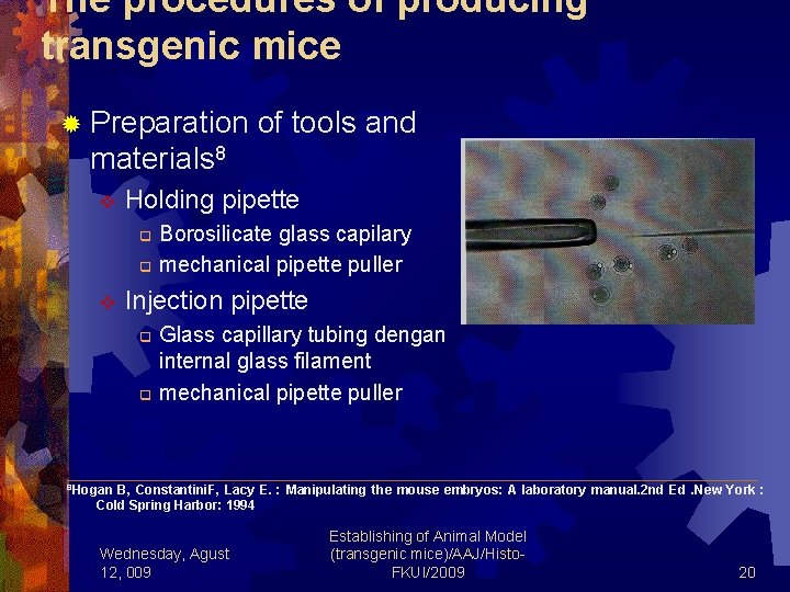 The procedures of producing transgenic mice ® Preparation of tools and materials 8 v