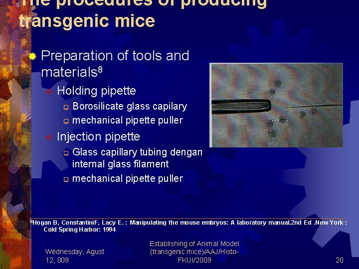 The procedures of producing transgenic mice ® Preparation of tools and materials 8 v