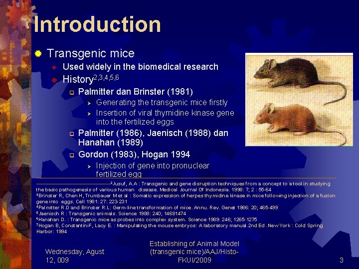 Introduction ® Transgenic mice v Used widely in the biomedical research v History 2,