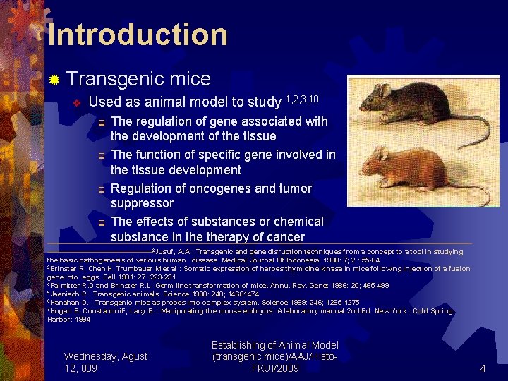 Introduction ® Transgenic mice v Used as animal model to study 1, 2, 3,