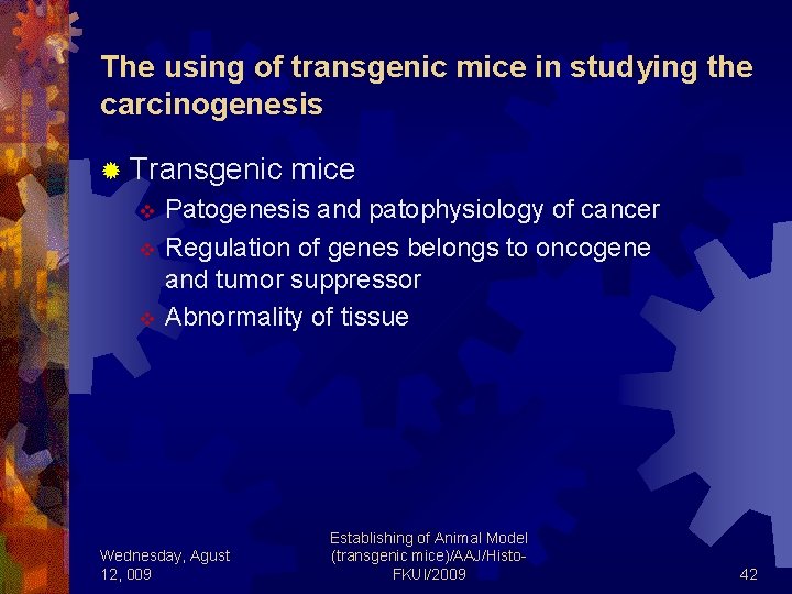 The using of transgenic mice in studying the carcinogenesis ® Transgenic mice Patogenesis and