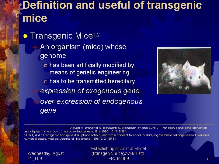 Definition and useful of transgenic mice ® Transgenic Mice 1, 2 v An organism
