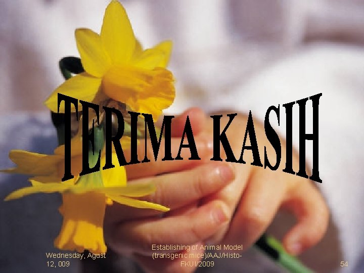 Wednesday, Agust 12, 009 Establishing of Animal Model (transgenic mice)/AAJ/Histo. FKUI/2009 54 