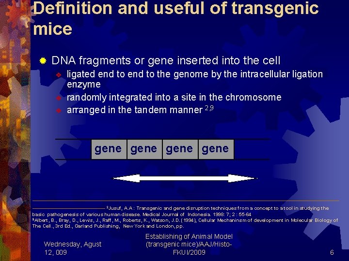 Definition and useful of transgenic mice ® DNA fragments or gene inserted into the