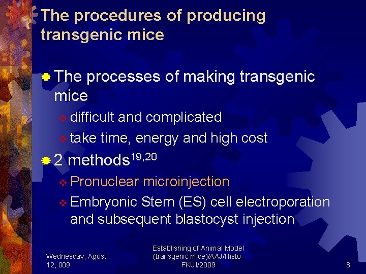 The procedures of producing transgenic mice ® The processes of making transgenic mice v